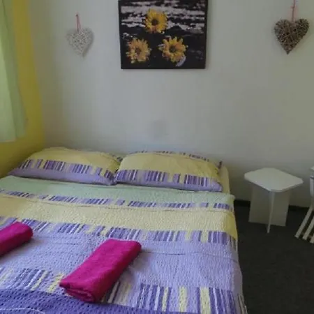 Guest house Tomy1 Horni Plana