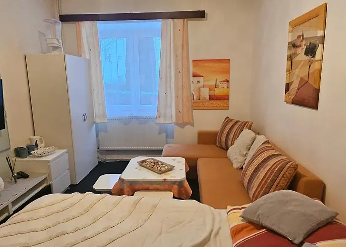 ゲストハウス Tomy1 3*