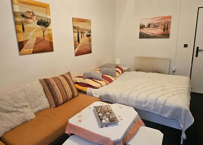 Tomy1 ゲストハウス Horní Planá